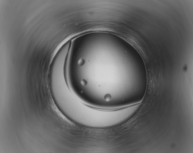 X0000116351092200912151345