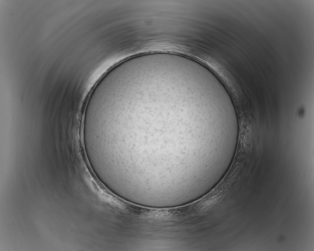 X0000116351094200912151345