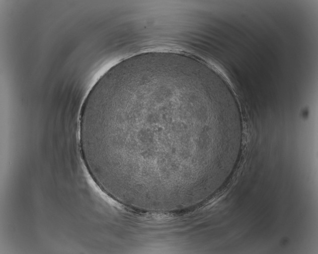 X0000116351095200912151345