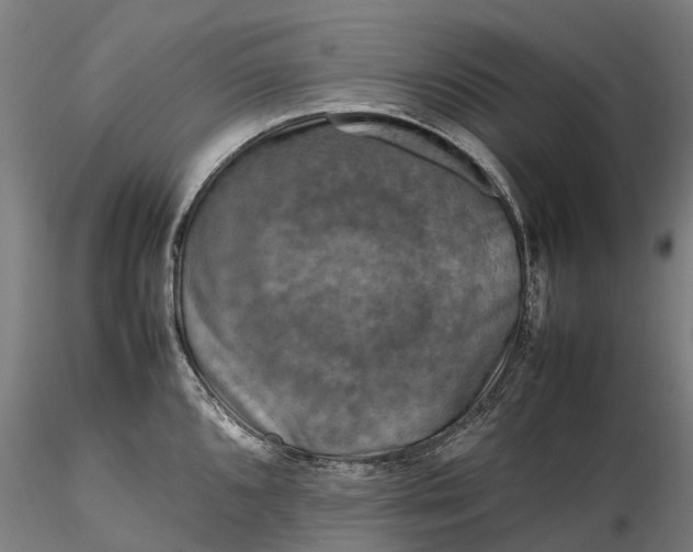 X0000116351096200912151345