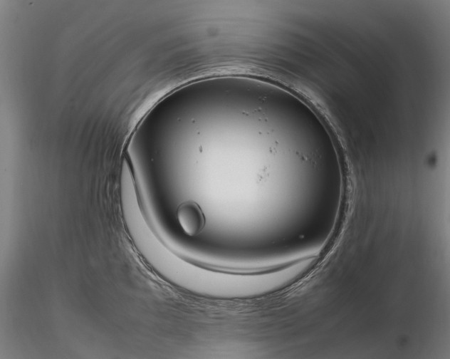 X0000116351097200912151345