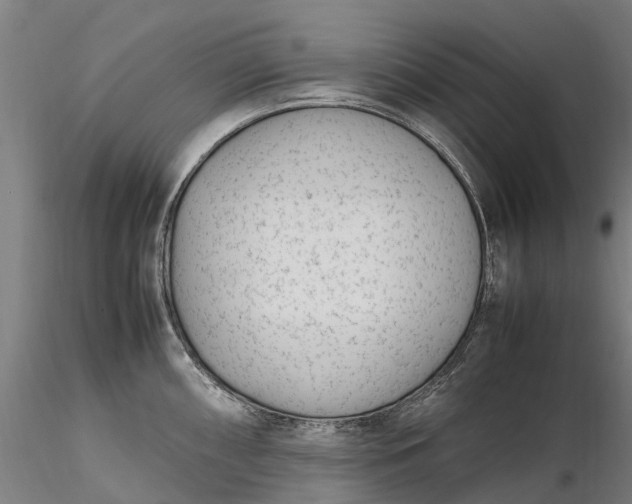 X0000116351098200912151345