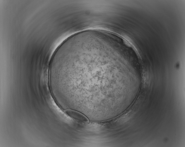 X0000116351100200912151345