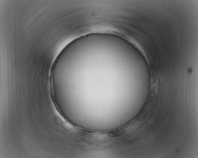 X0000116351103200912151345