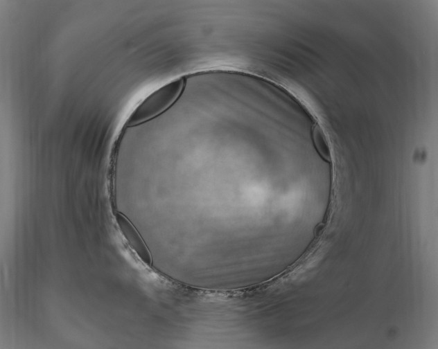 X0000116351104200912151345