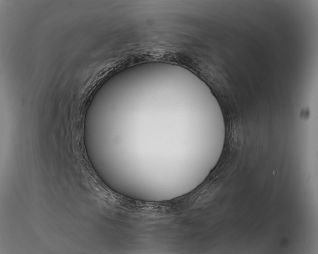 X0000116351105200912151344