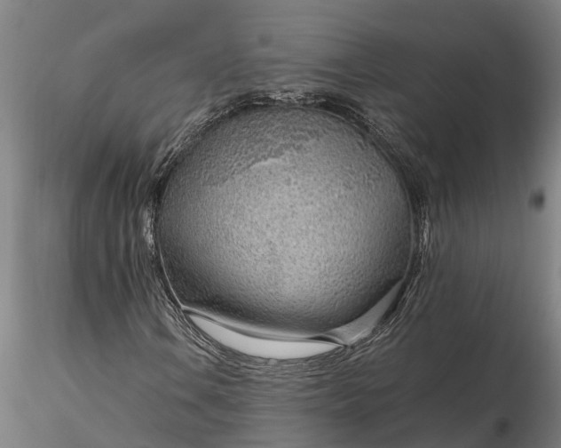 X0000116351106200912151344