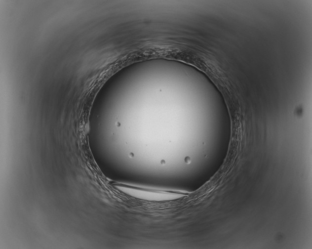 X0000116351109200912151344