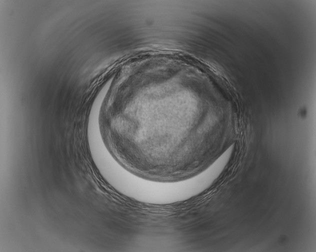 X0000116351110200912151344