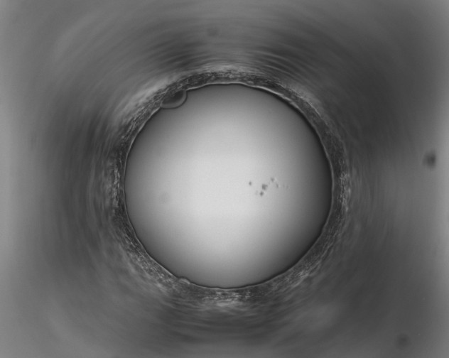 X0000116351111200912151344