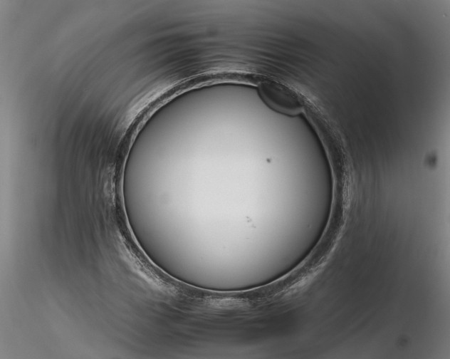 X0000116351113200912151344