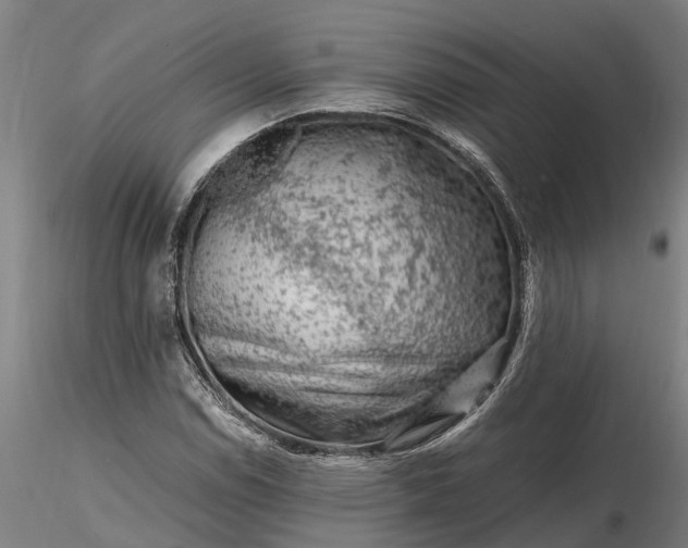 X0000116351114200912151344