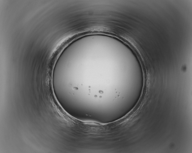 X0000116351115200912151344