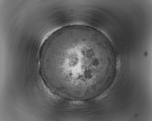 X0000116351117200912151344