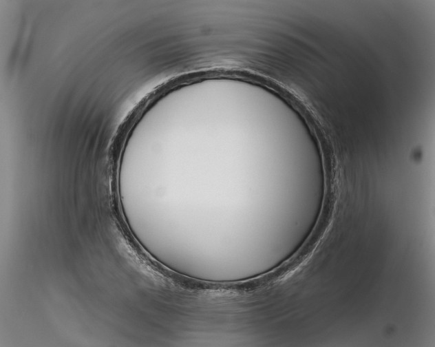 X0000116351118200912151344