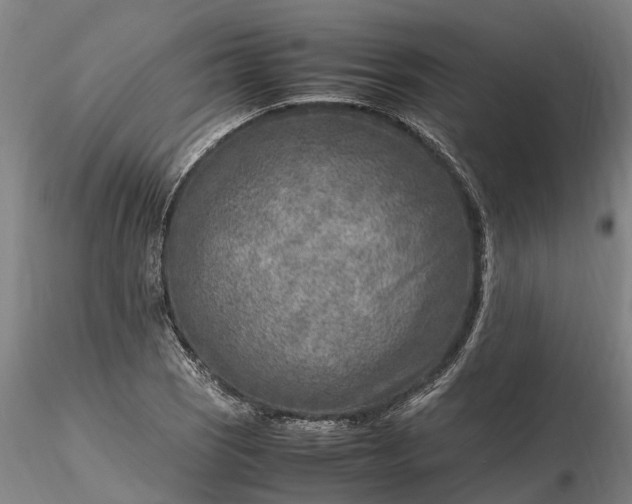 X0000116351121200912151344