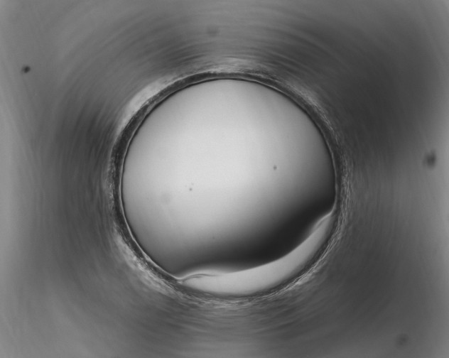 X0000116351122200912151344