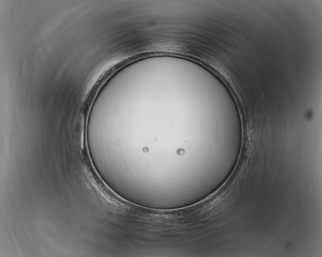 X0000116351123200912151344