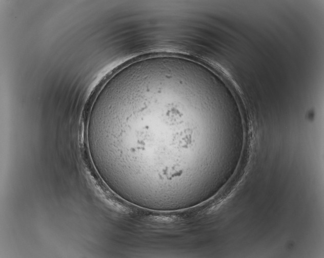 X0000116351125200912151344