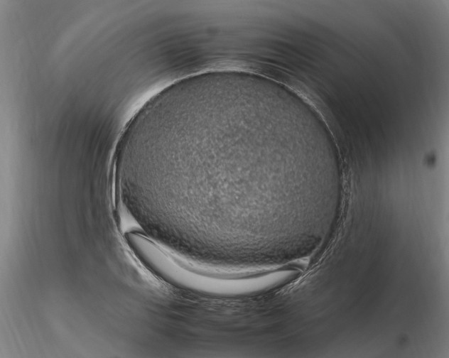 X0000116351127200912151344