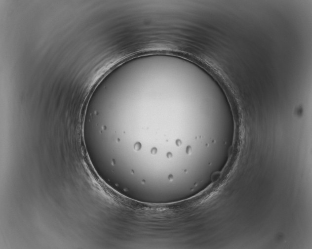 X0000116351129200912151344