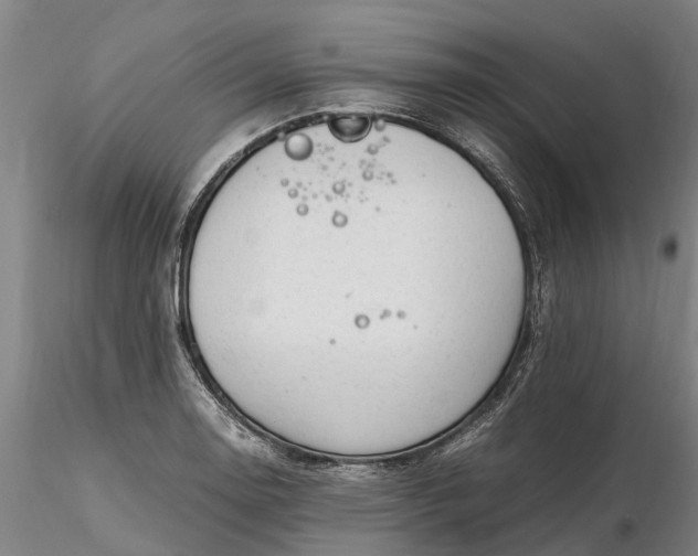 X0000116351130200912151344