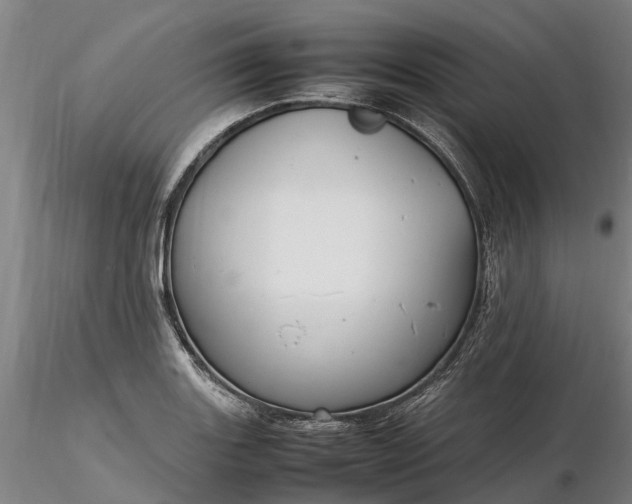 X0000116351131200912151344