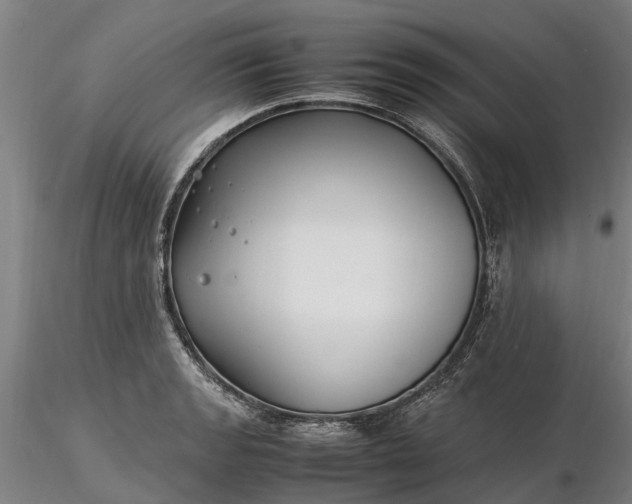 X0000116351133200912151344