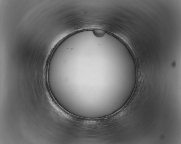 X0000116351135200912151345