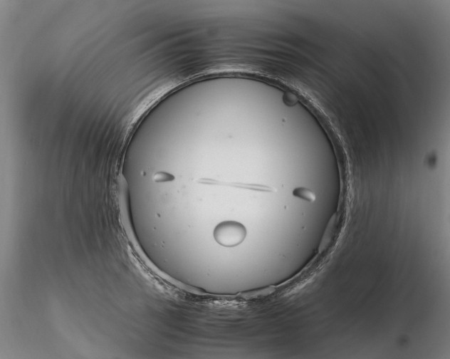 X0000116351137200912151345