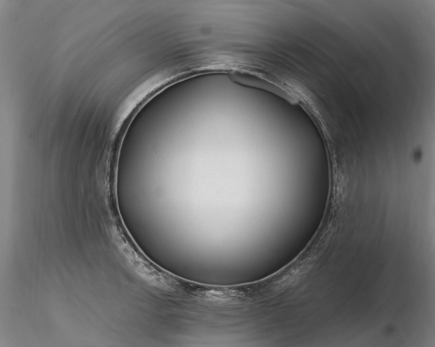 X0000116351138200912151345