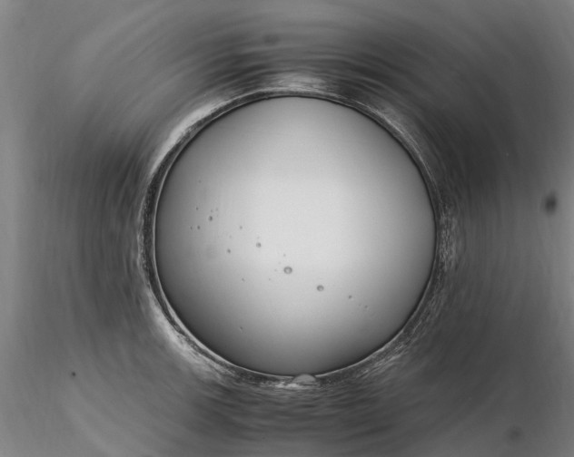 X0000116351139200912151345