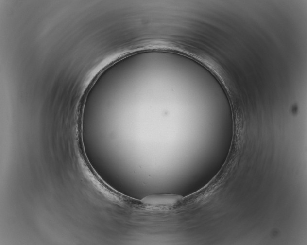 X0000116351142200912151345