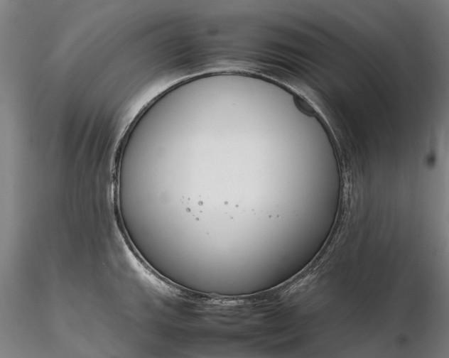 X0000116351143200912151345