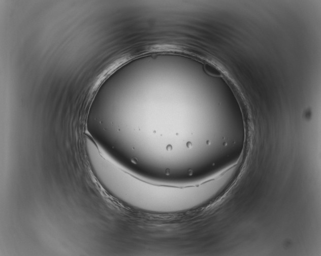 X0000116351145200912151345