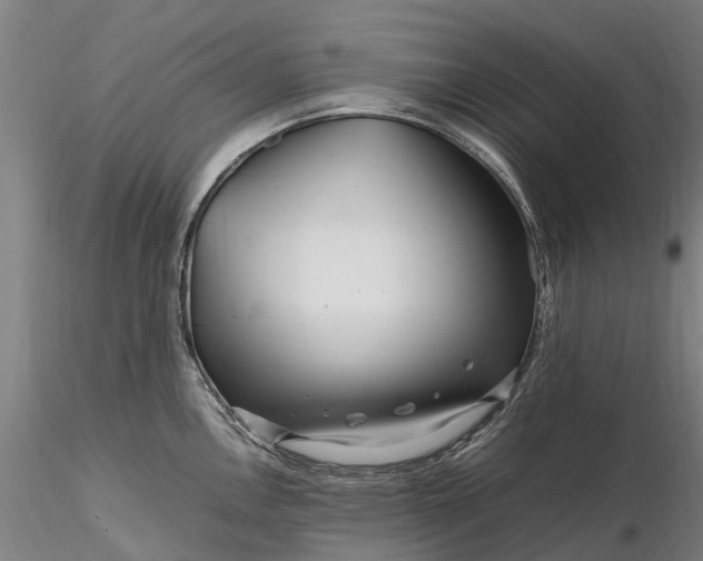 X0000116351146200912151345