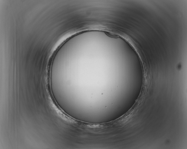 X0000116351147200912151345