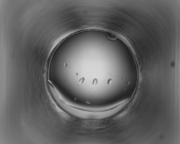 X0000116351149200912151345