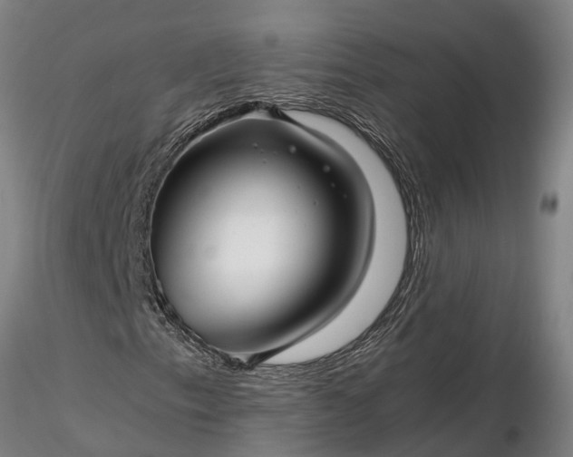 X0000116351153200912151344