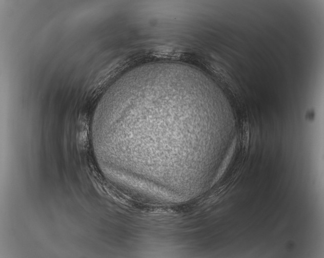 X0000116351154200912151344