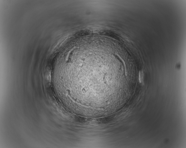 X0000116351155200912151344