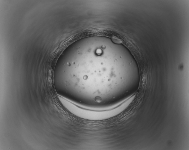 X0000116351156200912151344