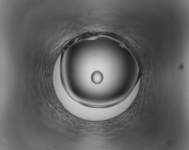 X0000116351157200912151344