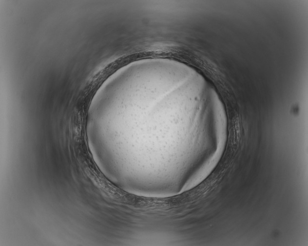 X0000116351158200912151344