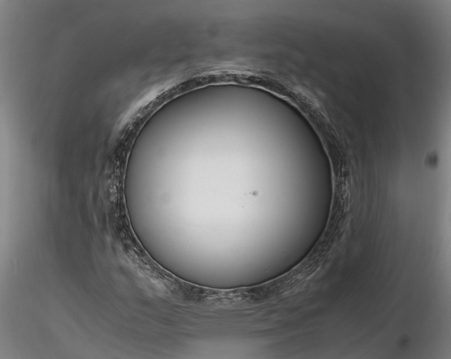 X0000116351159200912151344