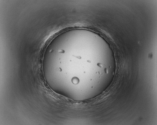 X0000116351160200912151344