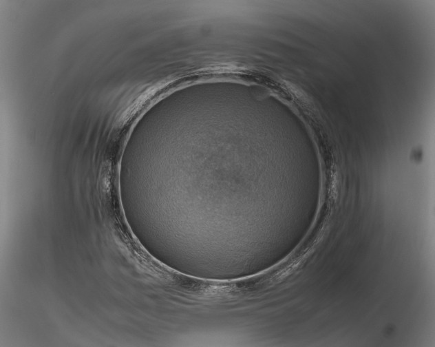 X0000116351161200912151344