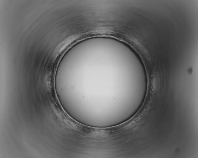 X0000116351162200912151344