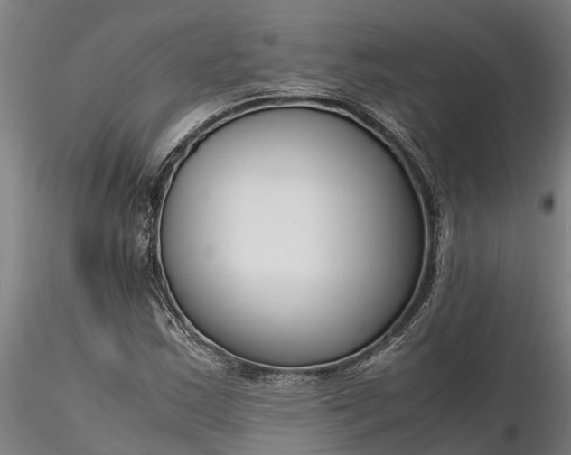 X0000116351163200912151344