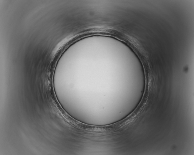 X0000116351164200912151344